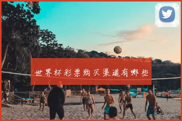 世界杯彩票购买渠道有哪些