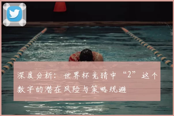 深度分析：世界杯竞猜中“2”这个数字的潜在风险与策略规避