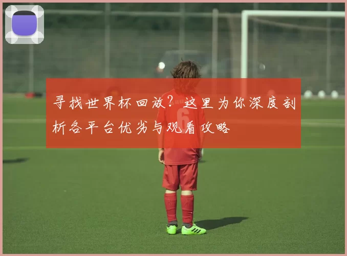 寻找世界杯回放？这里为你深度剖析各平台优劣与观看攻略