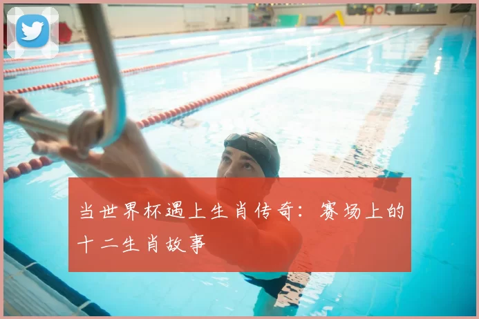 当世界杯遇上生肖传奇:赛场上的十二生肖故事