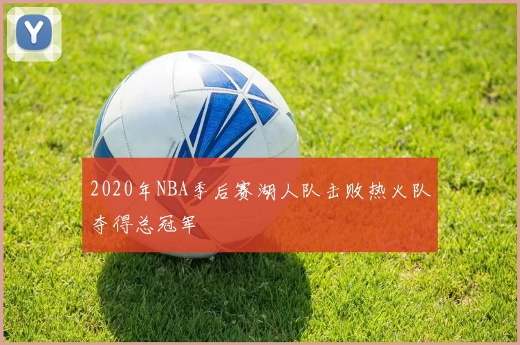 2020年NBA季后赛湖人队击败热火队夺得总冠军