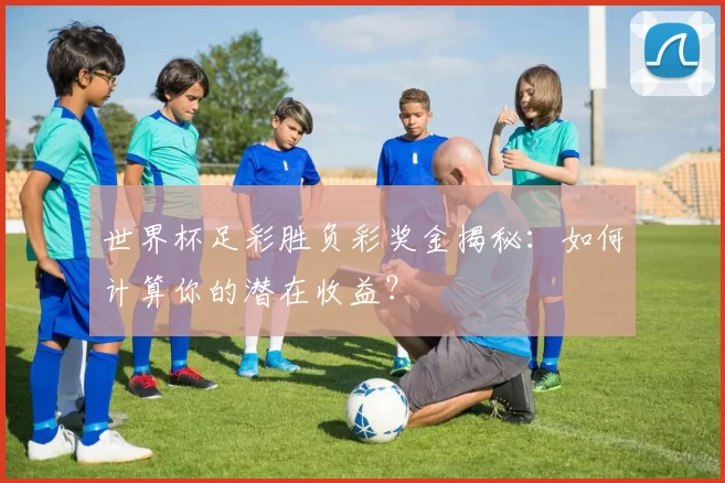 世界杯足彩胜负彩奖金揭秘:如何计算你的潜在收益?