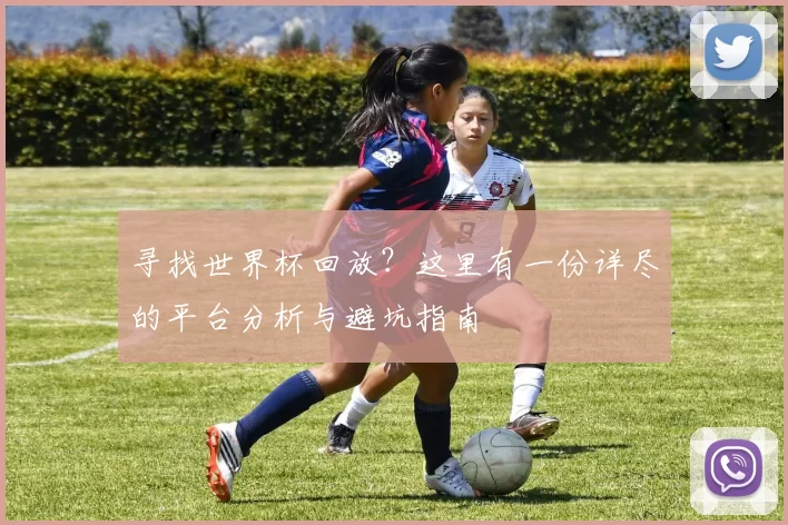 寻找世界杯回放?这里有一份详尽的平台分析与避坑指南