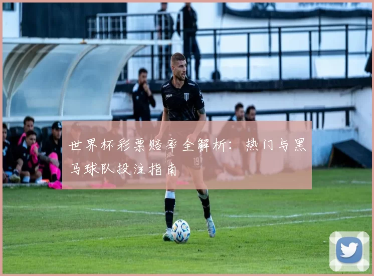 世界杯彩票赔率全解析：热门与黑马球队投注指南