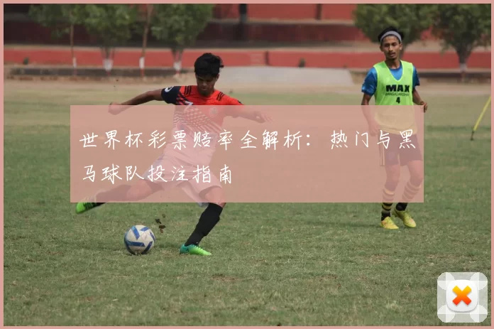 世界杯彩票赔率全解析:热门与黑马球队投注指南