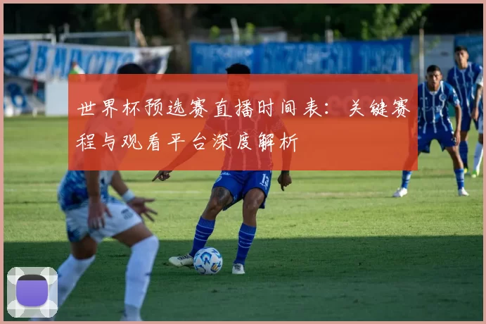 世界杯预选赛直播时间表：关键赛程与观看平台深度解析