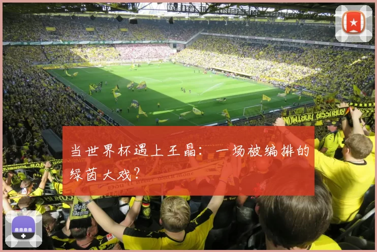 当世界杯遇上王晶：一场被编排的绿茵大戏？
