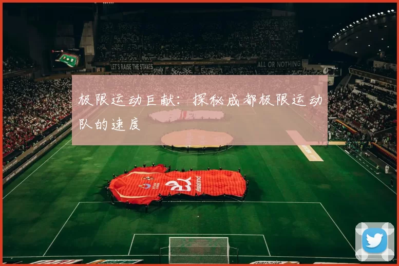 极限运动巨献:探秘成都极限运动队的速度