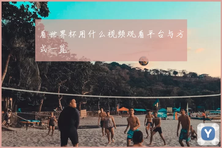 看世界杯用什么视频观看平台与方式一览
